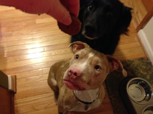 "Lady's first, Doodle," says MJ as she physically pushes Zo to the back of the treat line.